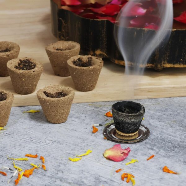 Dhoop - Image 4